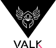 VALK GAMING